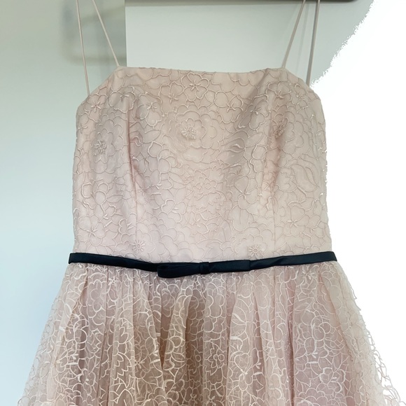 Erin Fetherston Lucielle 3-D Floral Organza Dress NWT - Picture 7 of 14